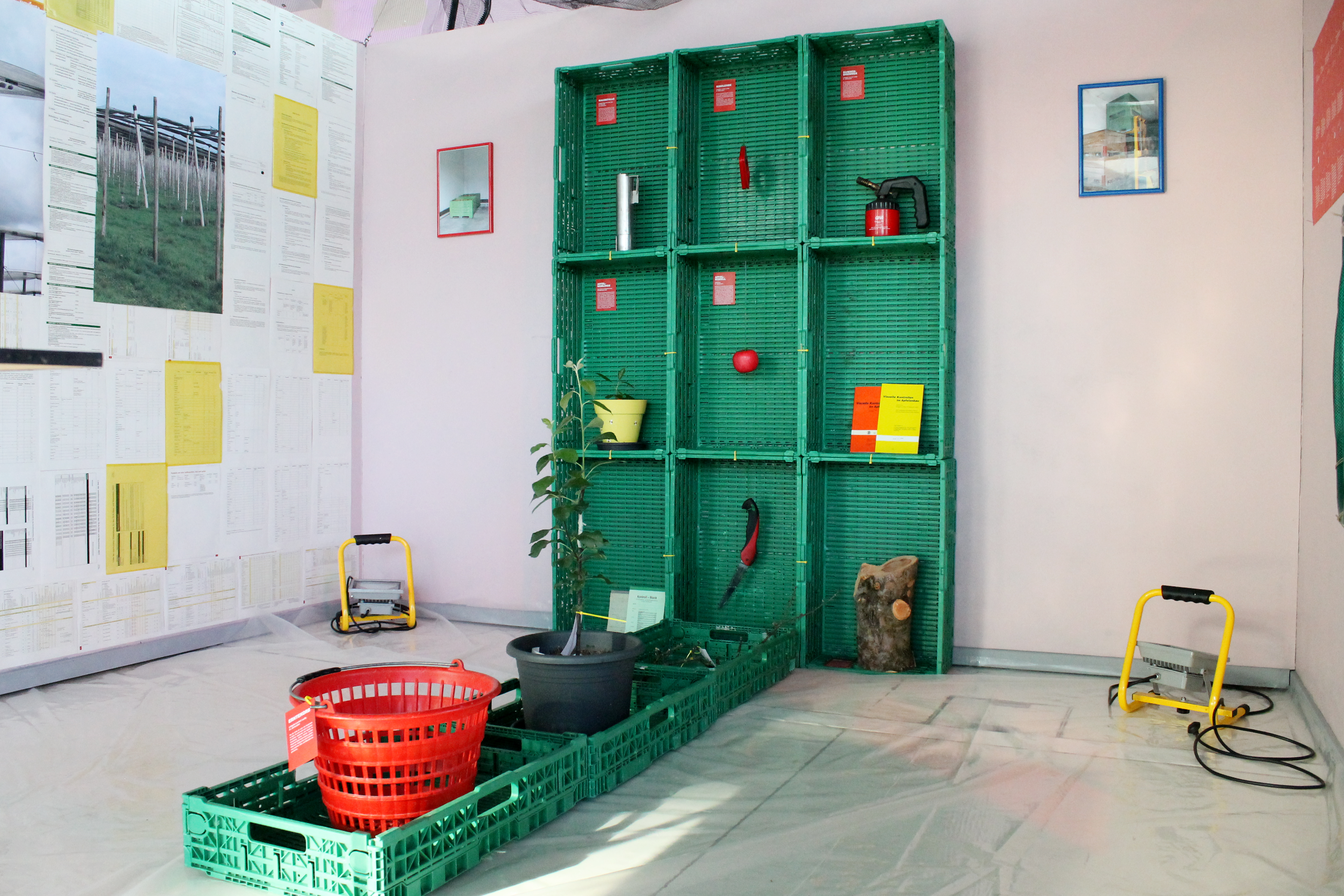 PostnaturalApple_Figure6